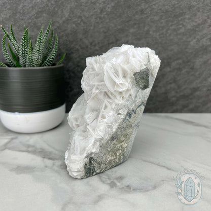 UV Reactive Bladed Calcite Hedgehog Specimen
