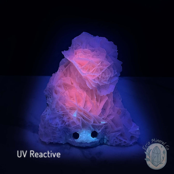 UV Reactive Bladed Calcite Hedgehog Specimen