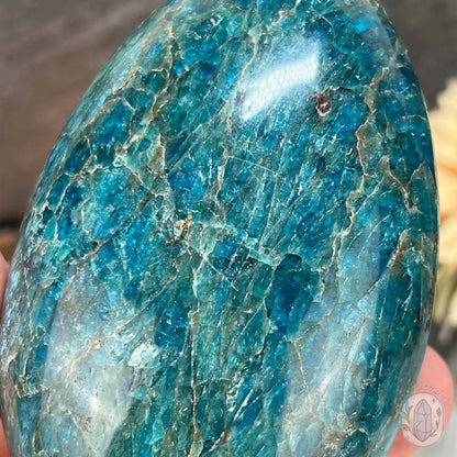 Polished Blue Apatite with Silver Flash Freeform