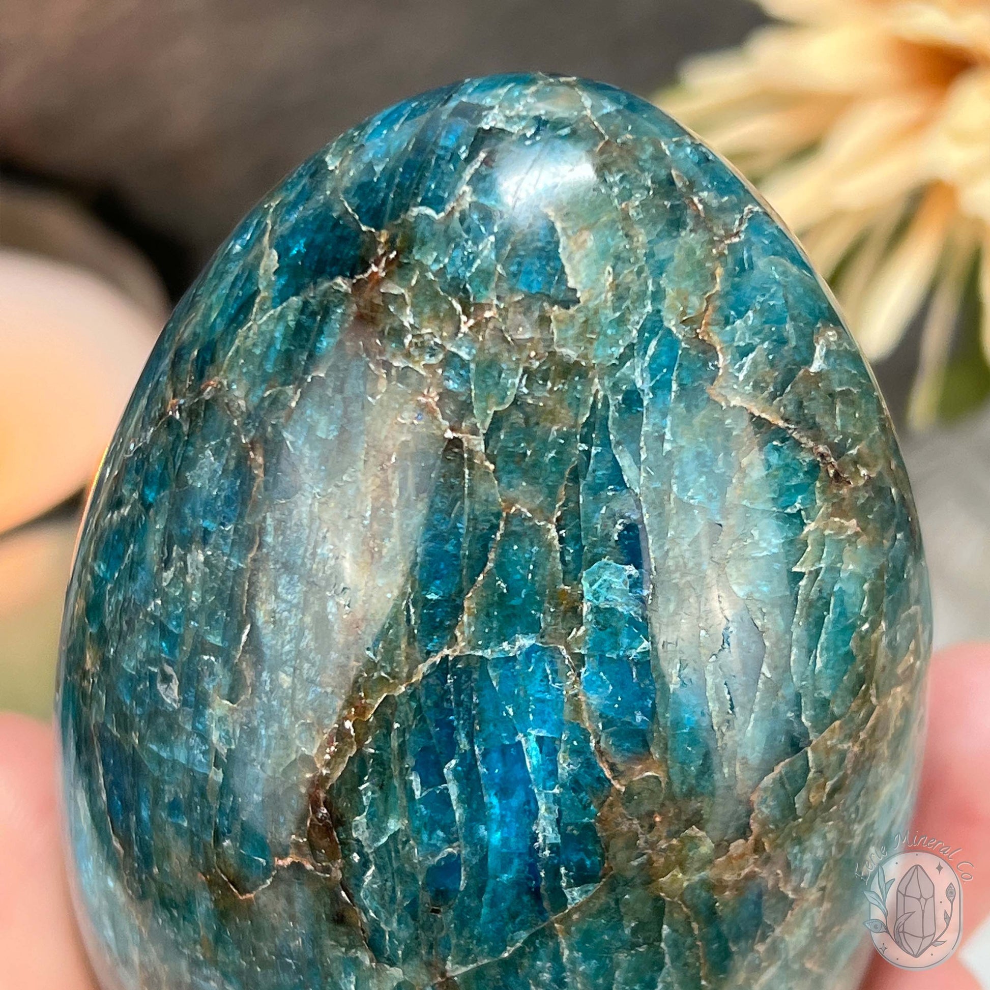 Polished Blue Apatite with Silver Flash Freeform