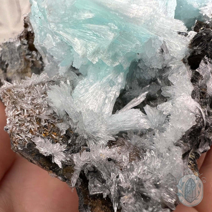 Blue Aragonite on Matrix Crystal Specimen