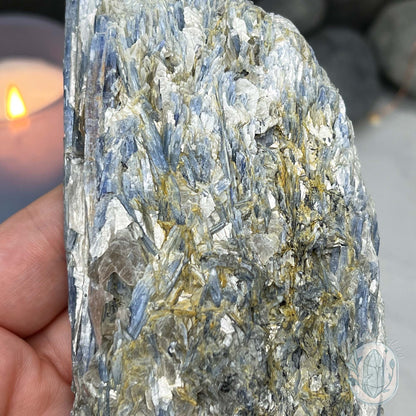 Tall Blue Kyanite Hedgehog Carving Specimen