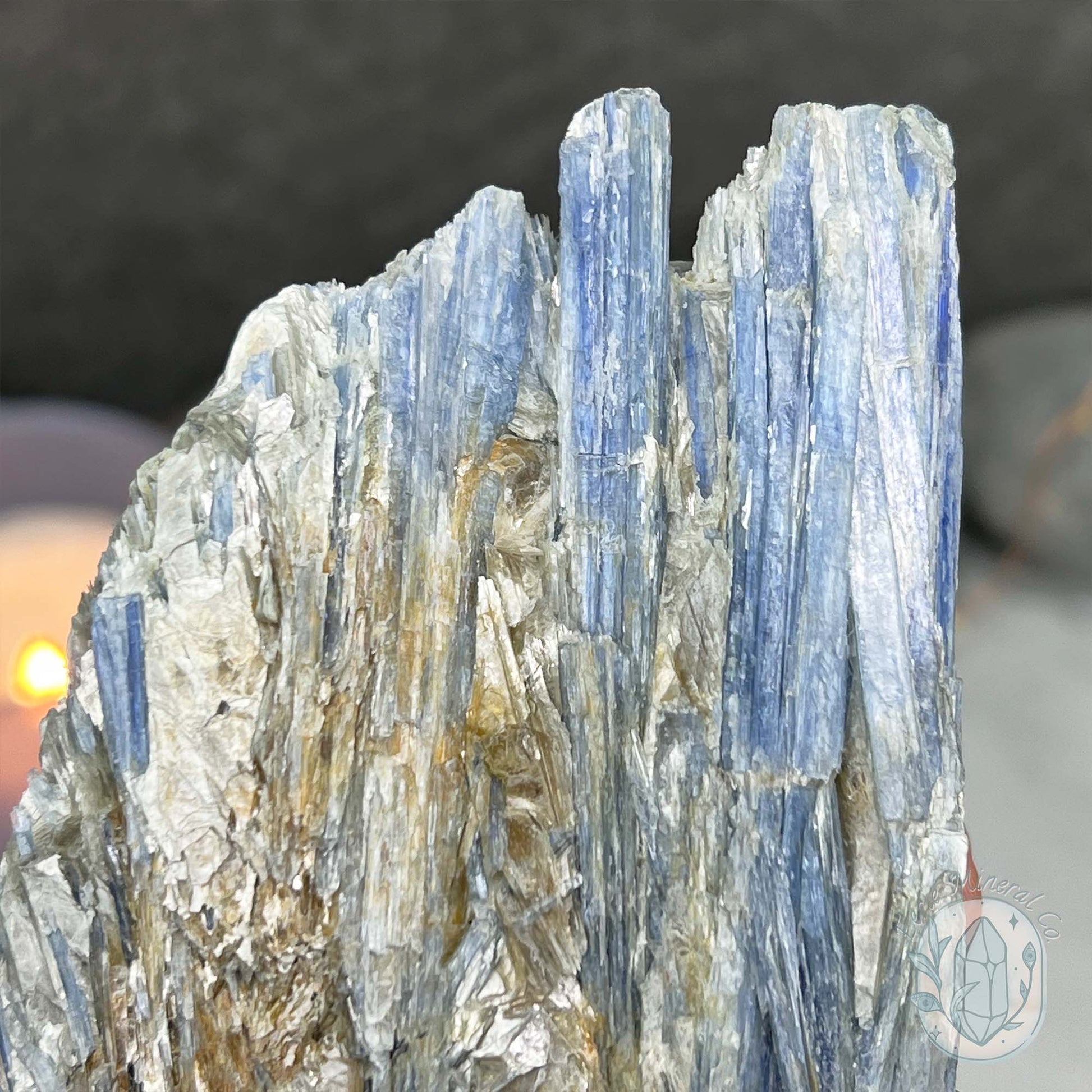Tall Blue Kyanite Hedgehog Carving Specimen