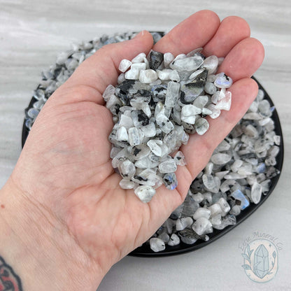 Polished Blue Moonstone Chips