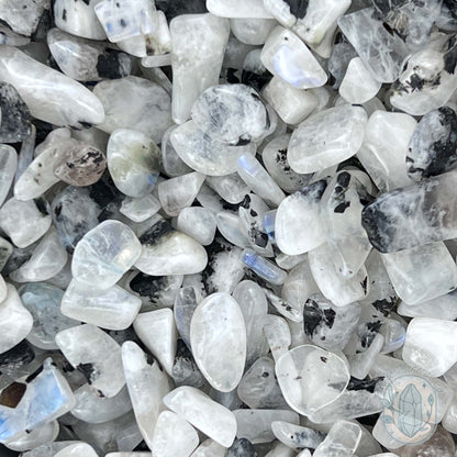 Polished Blue Moonstone Chips