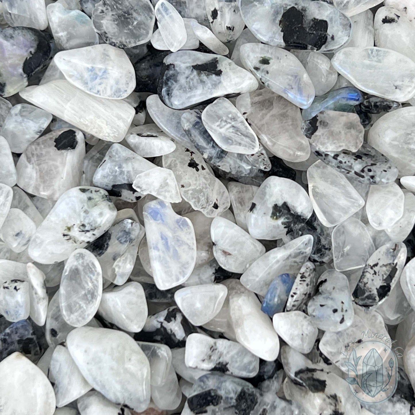 Polished Blue Moonstone Chips