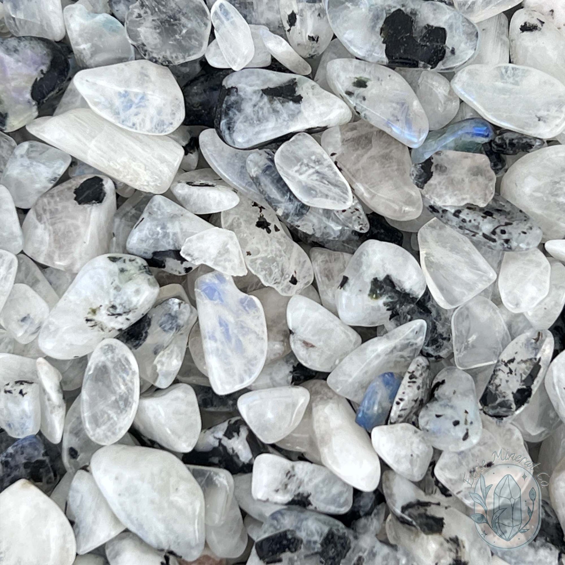 Polished Blue Moonstone Chips