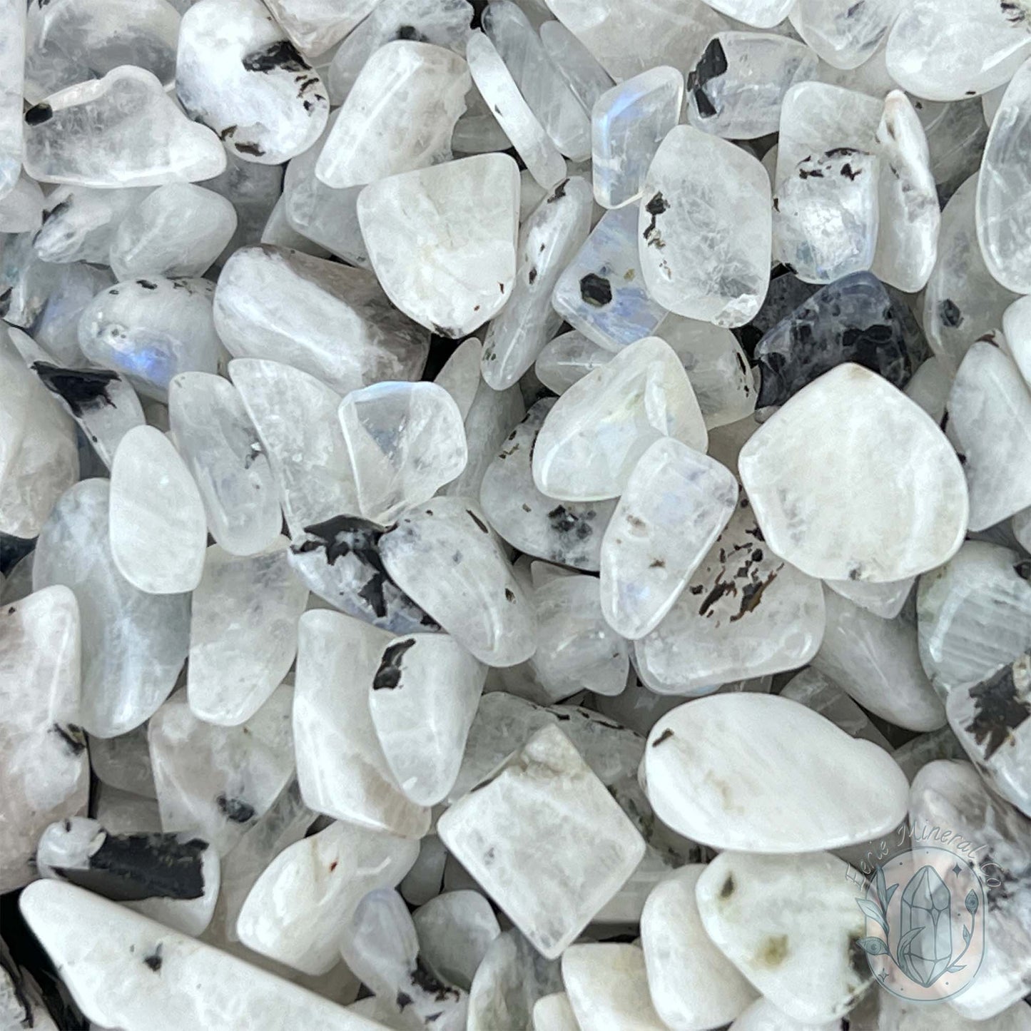 Polished Blue Moonstone Chips