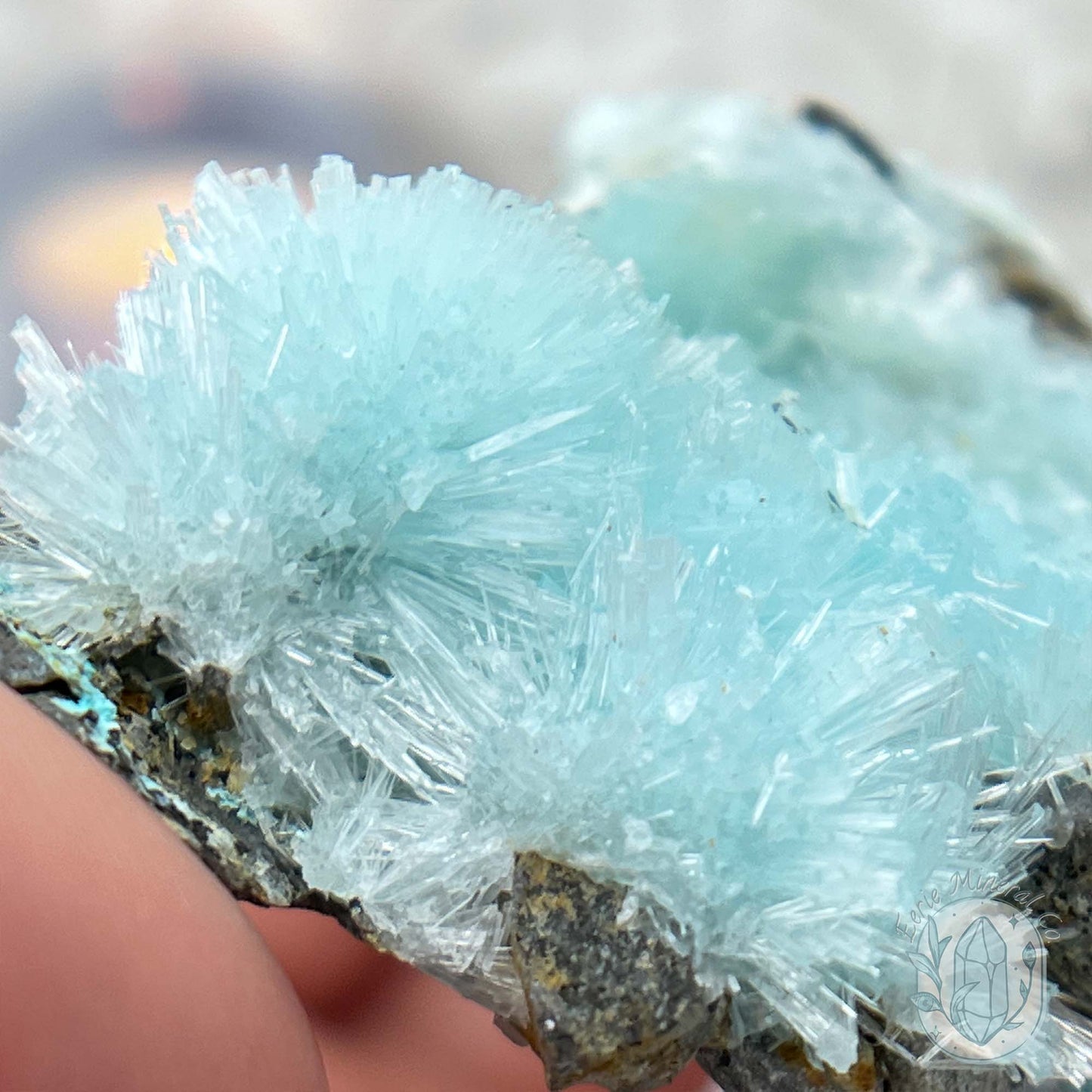 Delicate Blue Needle Aragonite Specimen