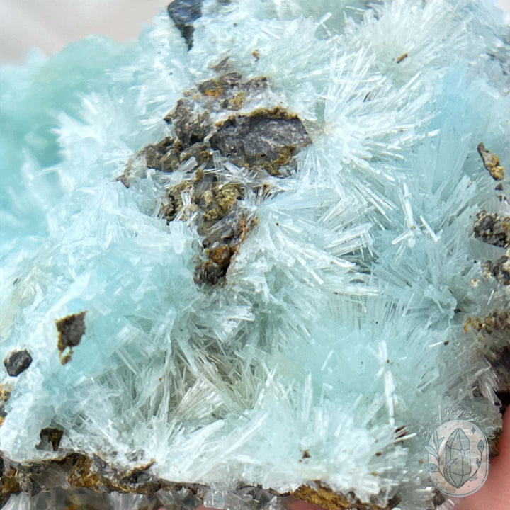 Delicate Blue Needle Aragonite Specimen