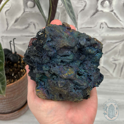 Large Peacock Ore aka Bornite Specimen