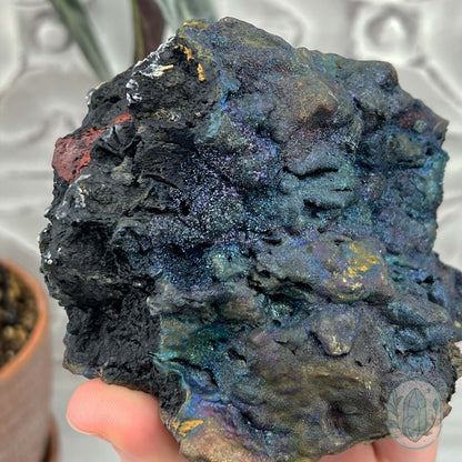 Large Peacock Ore aka Bornite Specimen