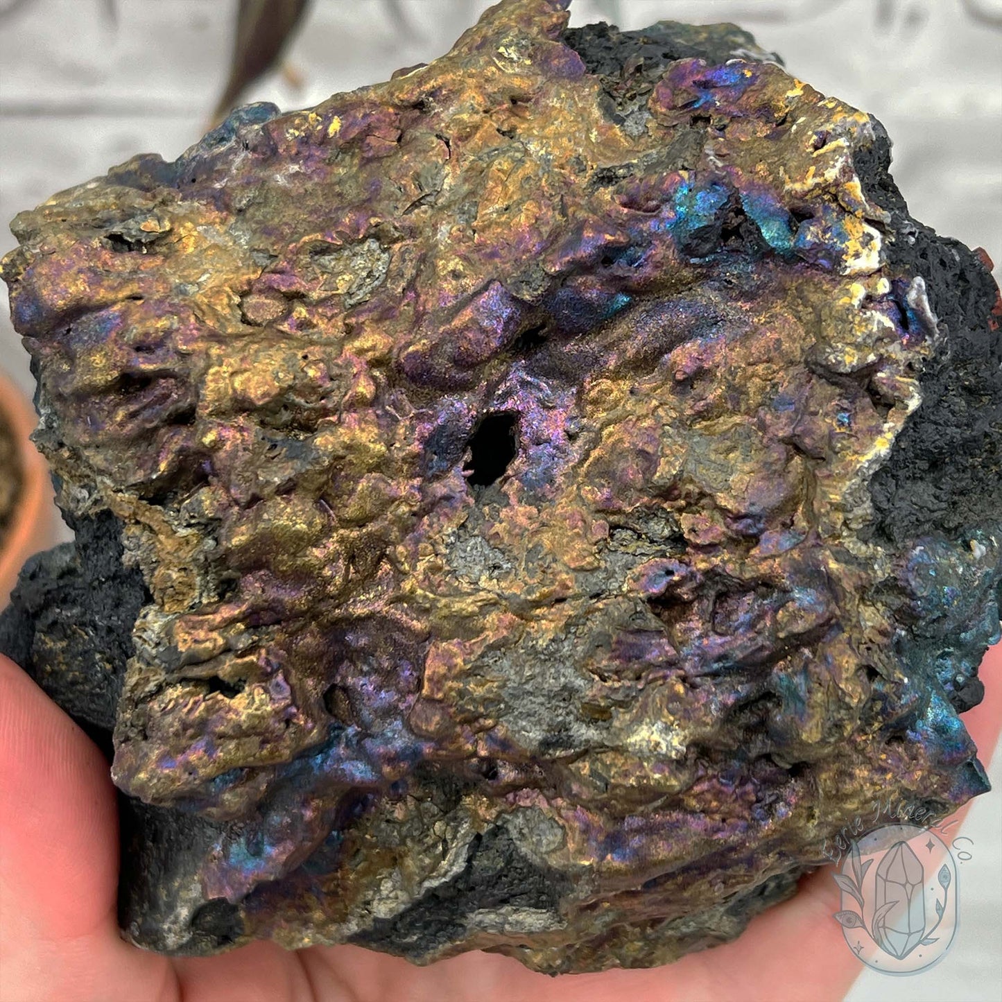 Large Peacock Ore aka Bornite Specimen
