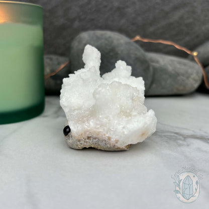 White Druzy Calcite Hedgehog Carving