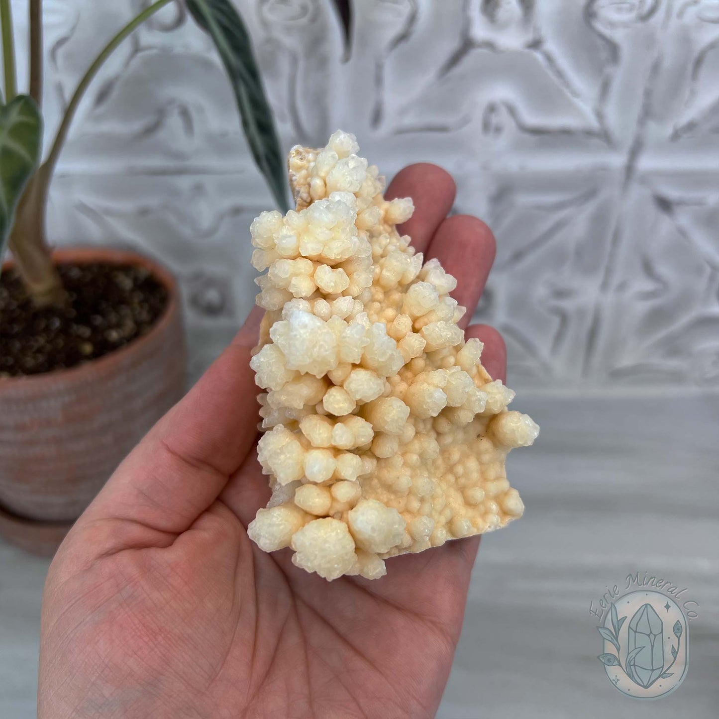 Natural Druzy Cave Calcite Stalactite Specimen