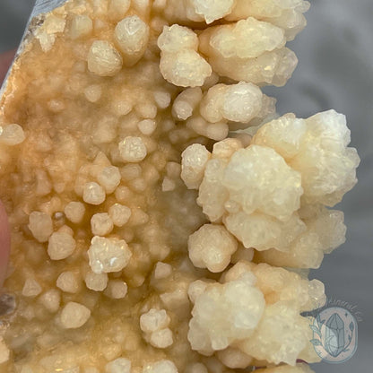 Natural Druzy Cave Calcite Stalactite Specimen