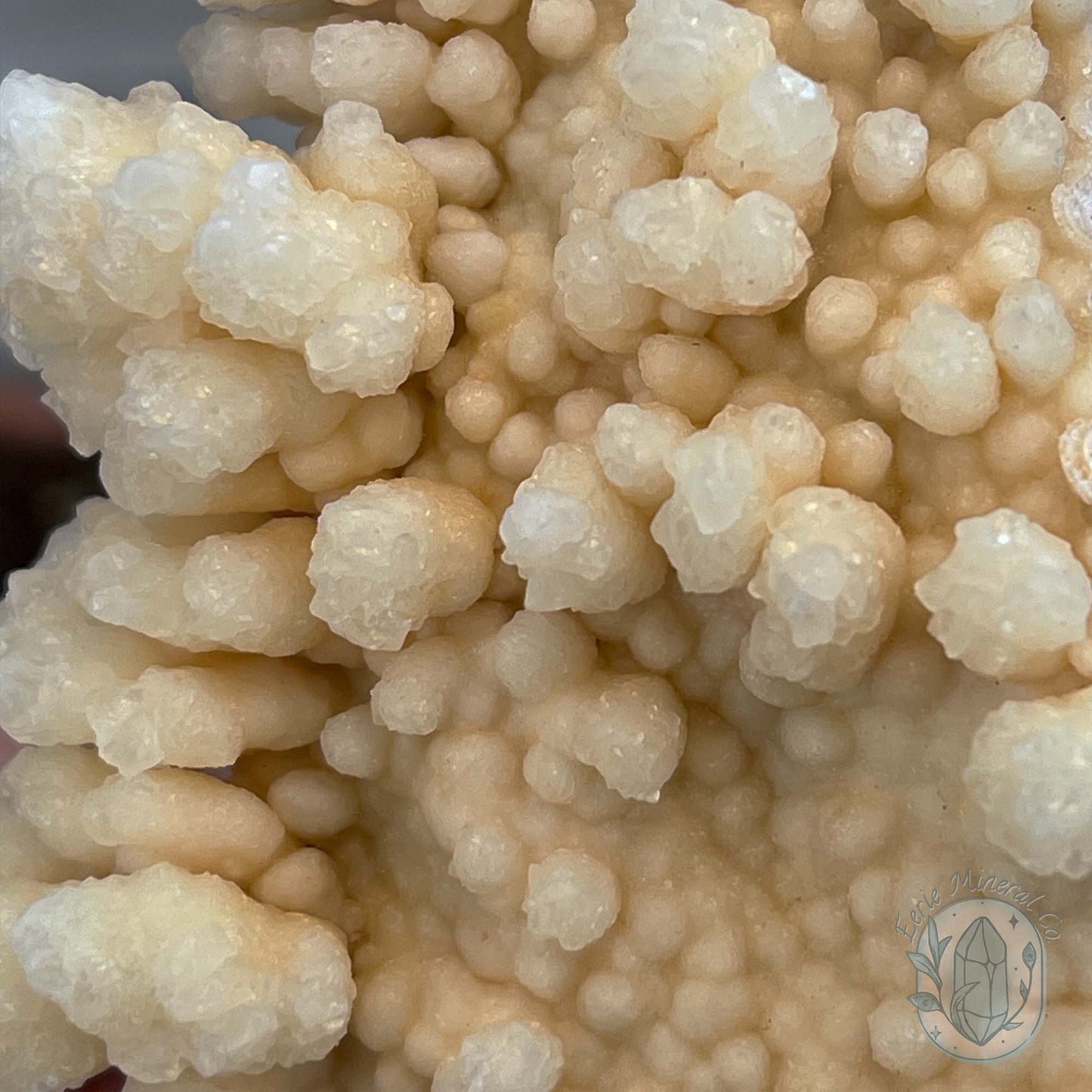 Natural Druzy Cave Calcite Stalactite Specimen
