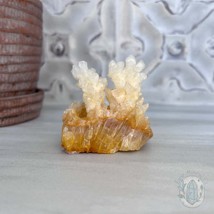 Natural Druzy Cave Calcite Stalactite Specimen