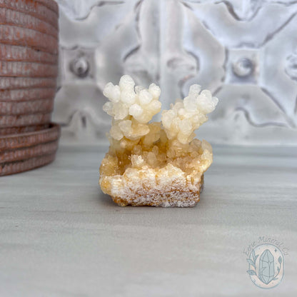Natural Druzy Cave Calcite Stalactite Specimen