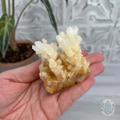 Natural Druzy Cave Calcite Stalactite Specimen