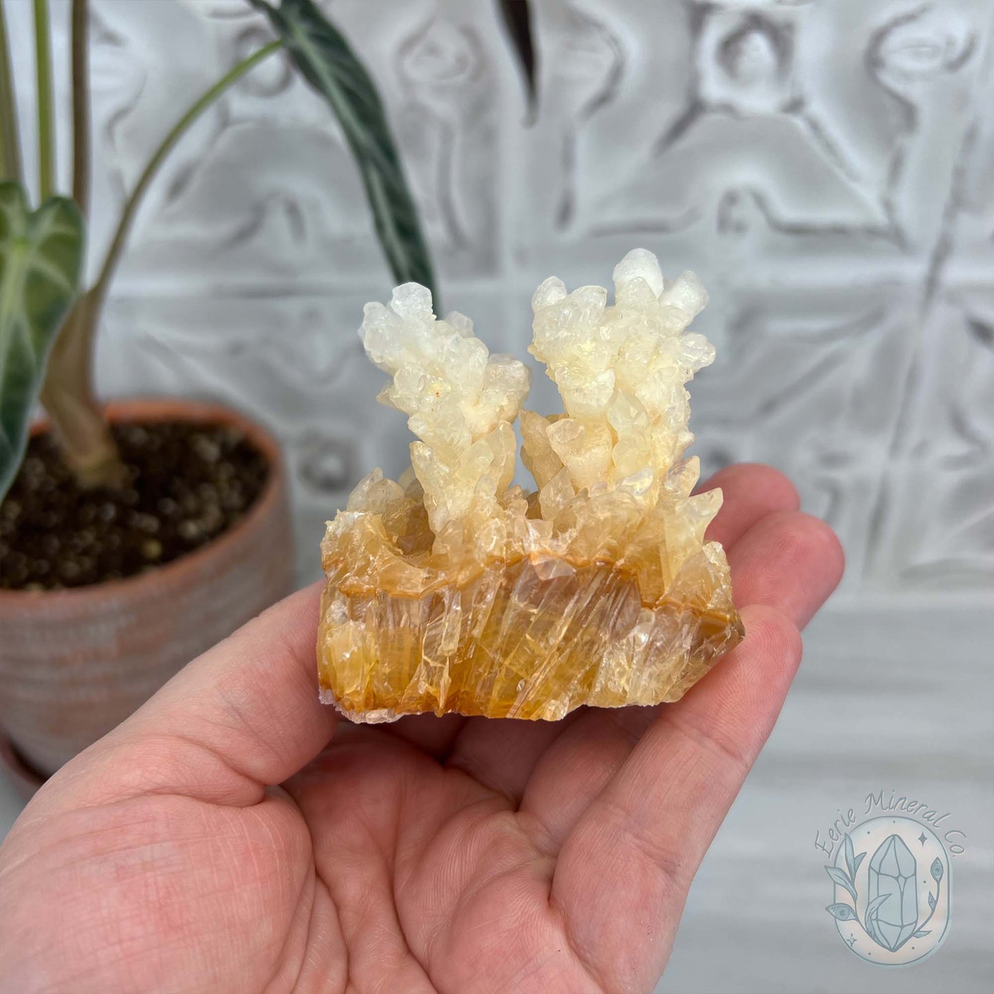 Natural Druzy Cave Calcite Stalactite Specimen