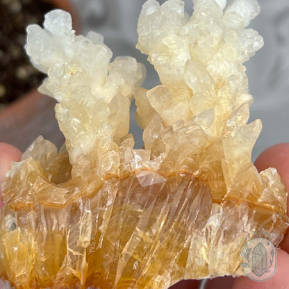 Natural Druzy Cave Calcite Stalactite Specimen