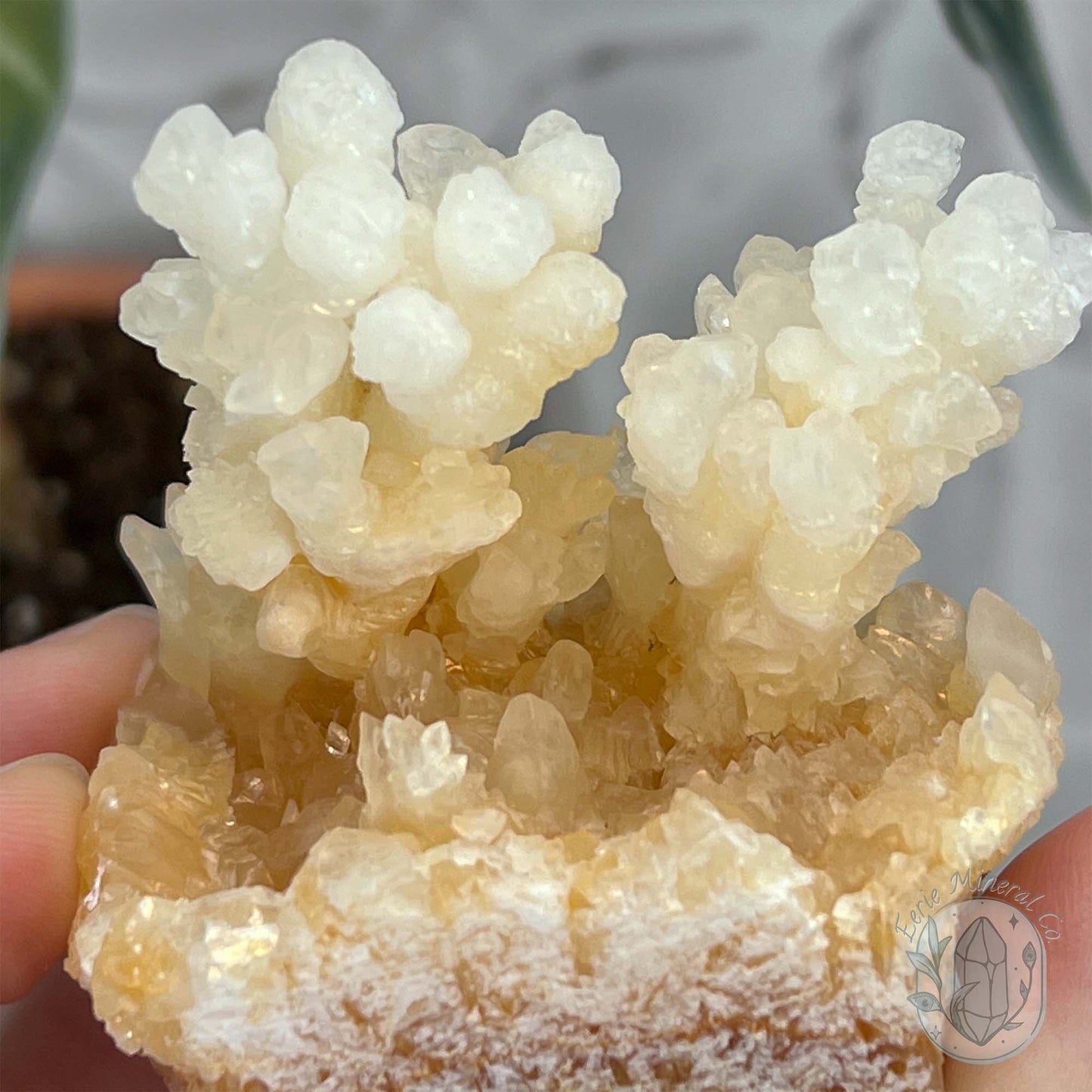 Natural Druzy Cave Calcite Stalactite Specimen