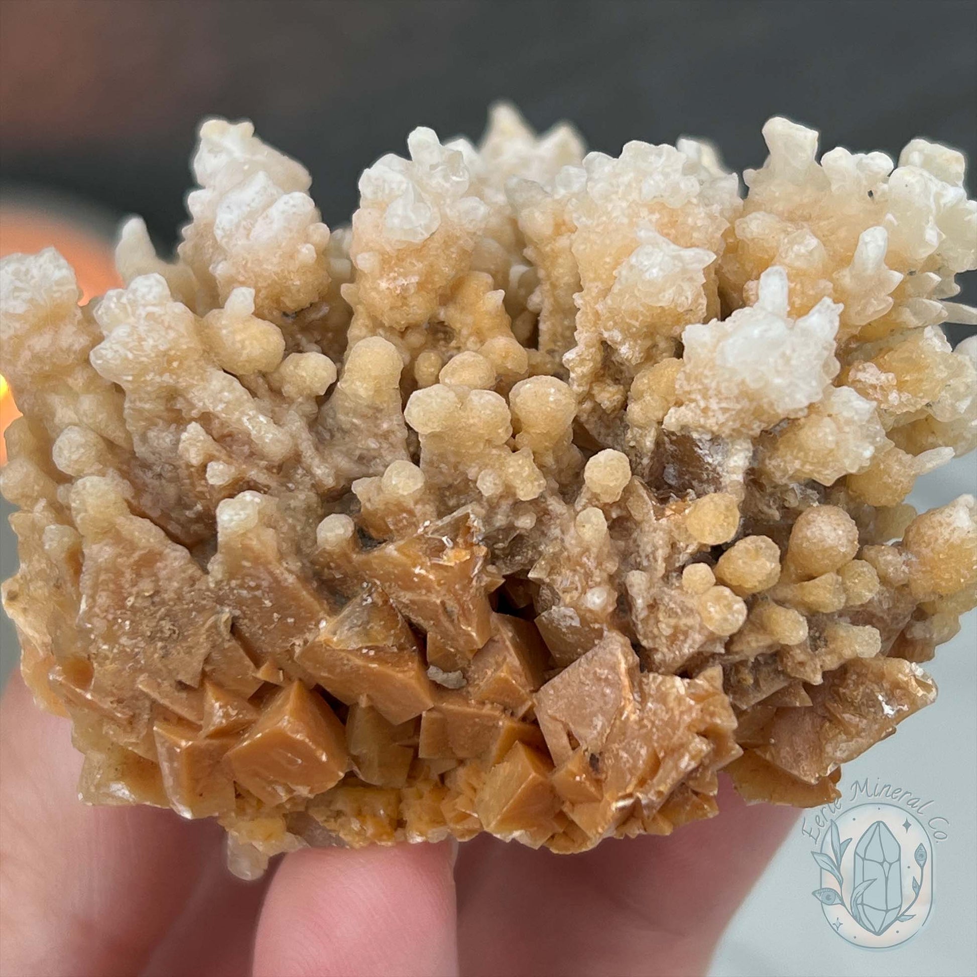 Yunnan Province Creamy Calcite Cave Stalactite Specimen