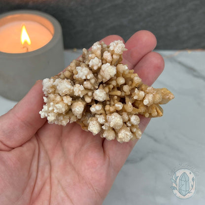 Yunnan Province Creamy Calcite Cave Stalactite Specimen
