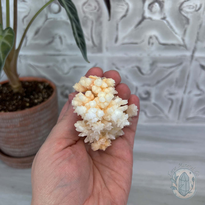 Natural Druzy Cave Calcite Stalactite Specimen