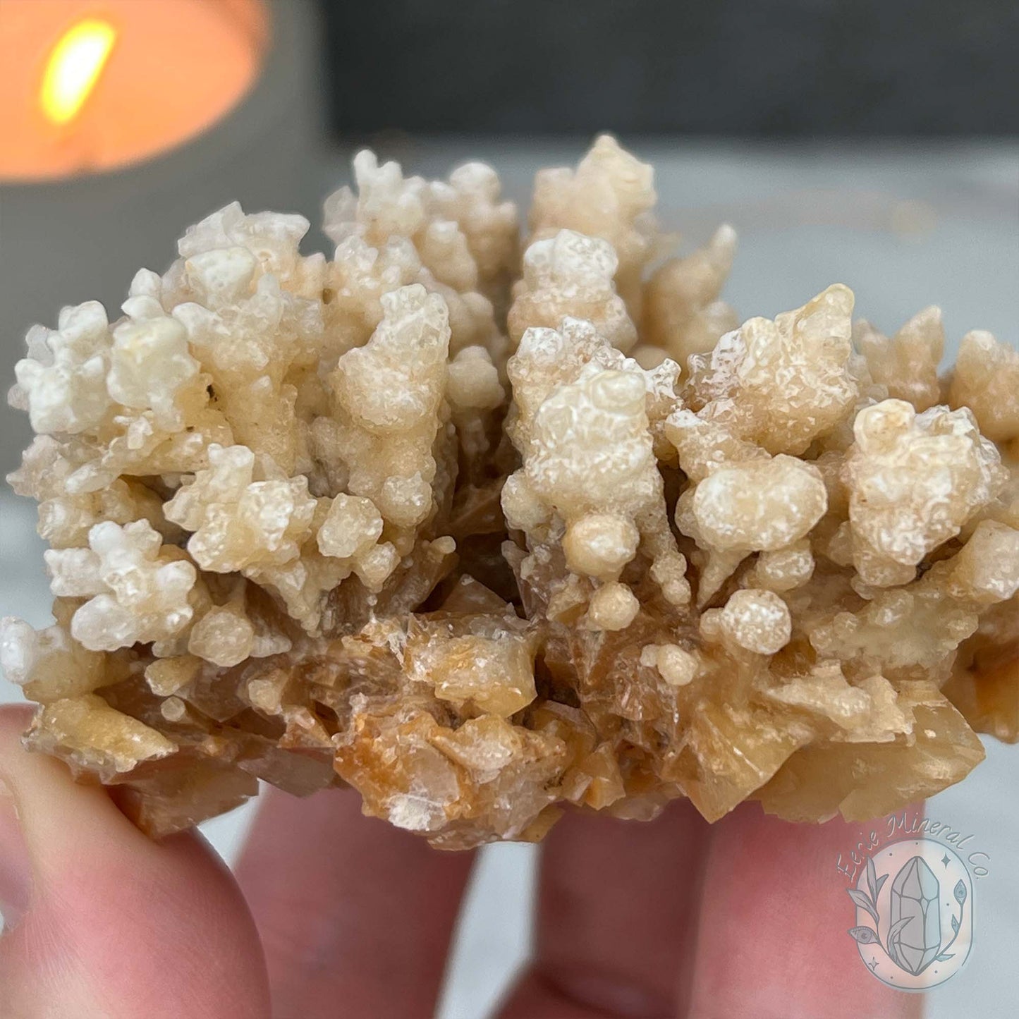 Yunnan Province Creamy Calcite Cave Stalactite Specimen