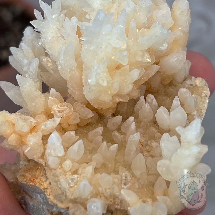 Natural Druzy Cave Calcite Stalactite Specimen