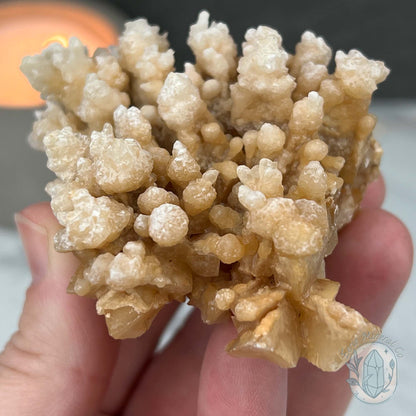 Yunnan Province Creamy Calcite Cave Stalactite Specimen