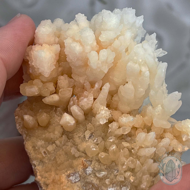 Natural Druzy Cave Calcite Stalactite Specimen