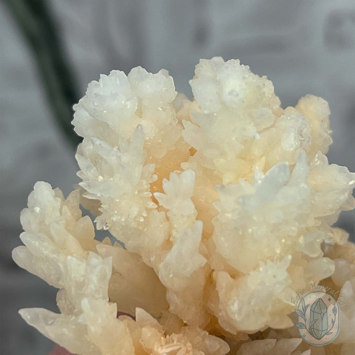 Natural Druzy Cave Calcite Stalactite Specimen