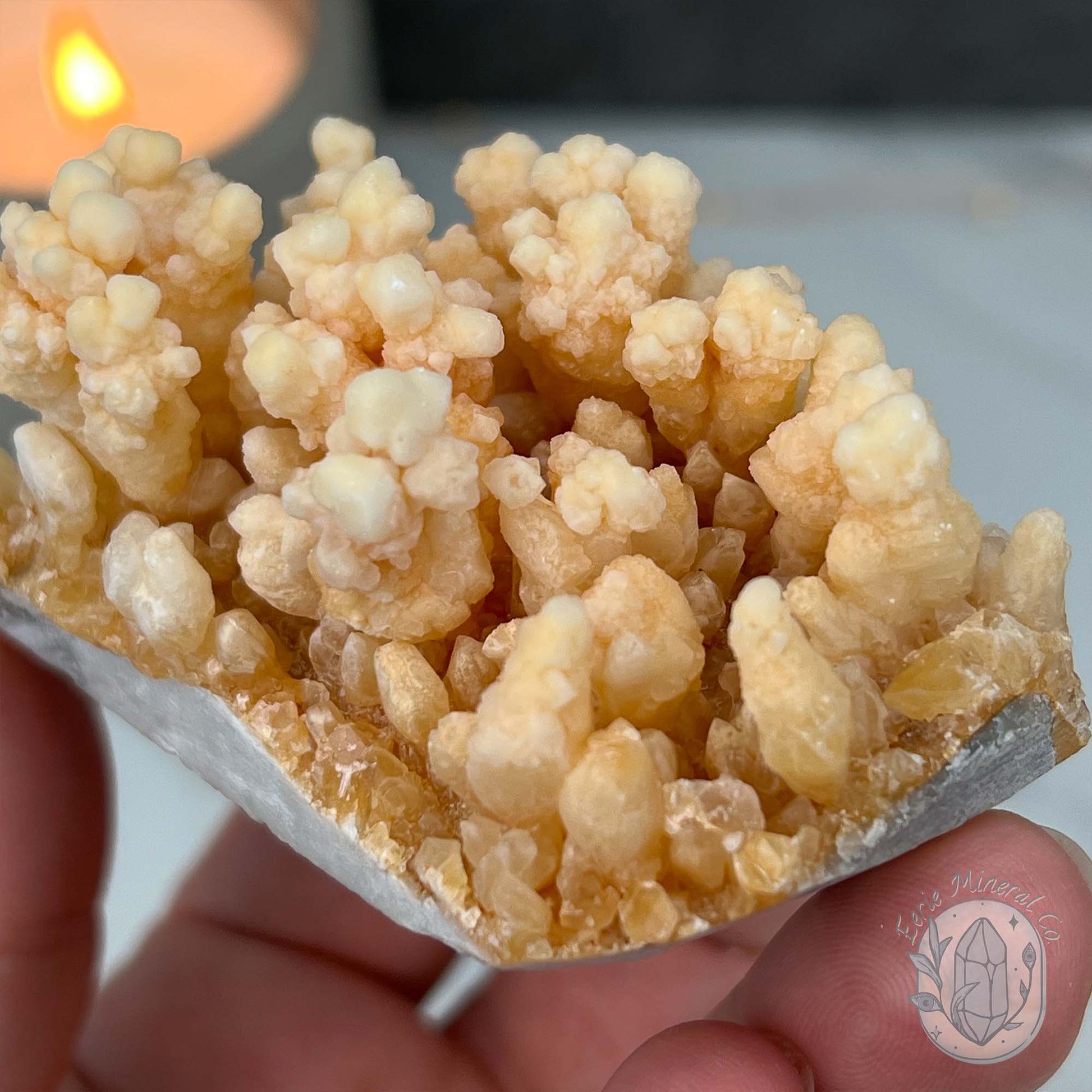 Yunnan Province Creamy Calcite Cave Stalactite Specimen