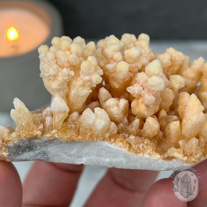 Yunnan Province Creamy Calcite Cave Stalactite Specimen