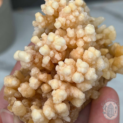 Yunnan Province Creamy Calcite Cave Stalactite Specimen