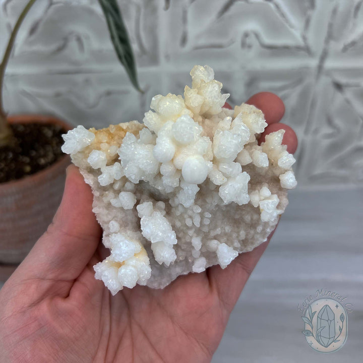 Natural Druzy Cave Calcite Stalactite Specimen