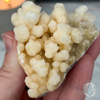 Yunnan Province Creamy White Calcite Cave Stalactite Specimen