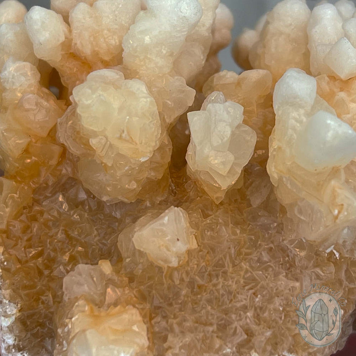 Natural Druzy Cave Calcite Stalactite Specimen