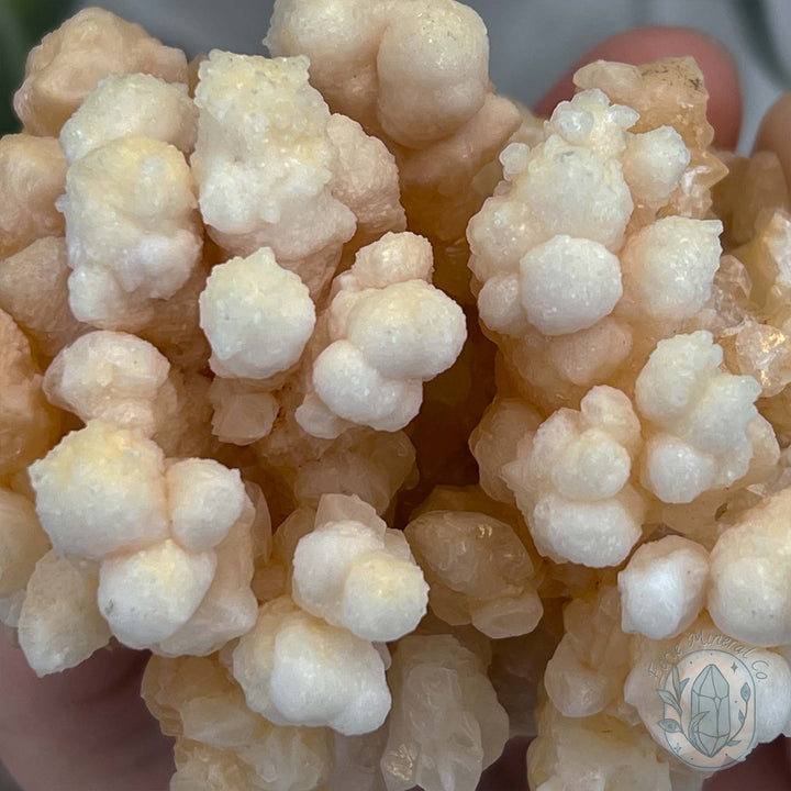 Natural Druzy Cave Calcite Stalactite Specimen