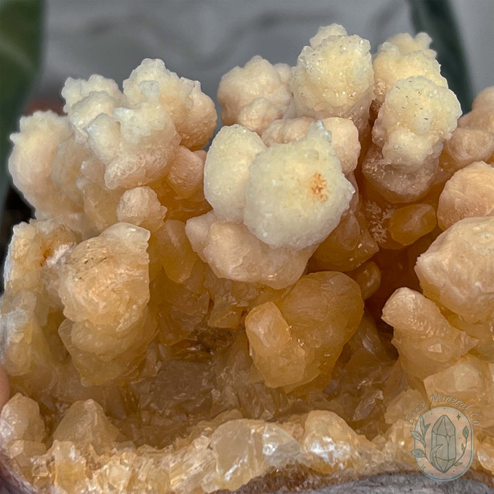 Natural Druzy Cave Calcite Stalactite Specimen