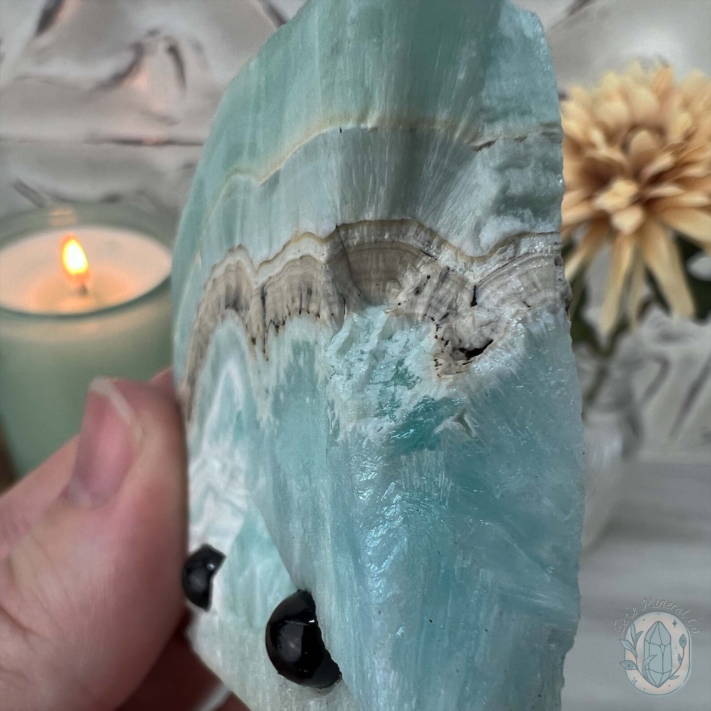 Beach Vibes Caribbean Calcite Slab Style Pet Rock