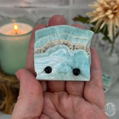 Beach Vibes Caribbean Calcite Slab Style Pet Rock