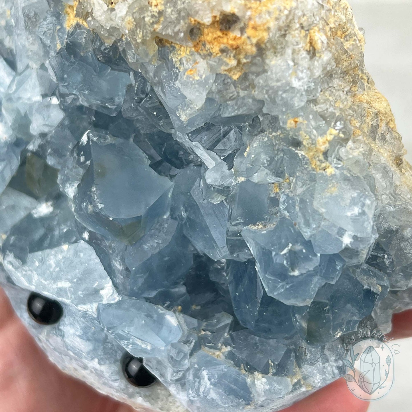 Celestite Crystal Hedgehog Carving Specimen