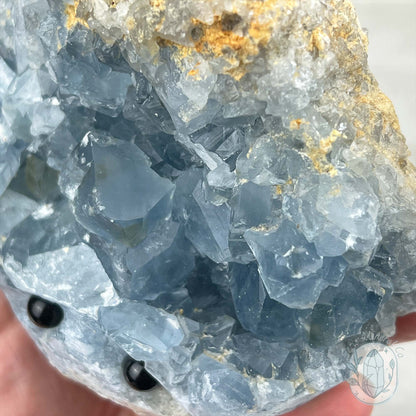 Celestite Crystal Hedgehog Carving Specimen