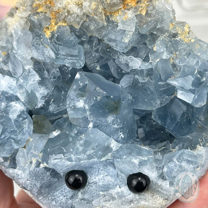 Celestite Crystal Hedgehog Carving Specimen