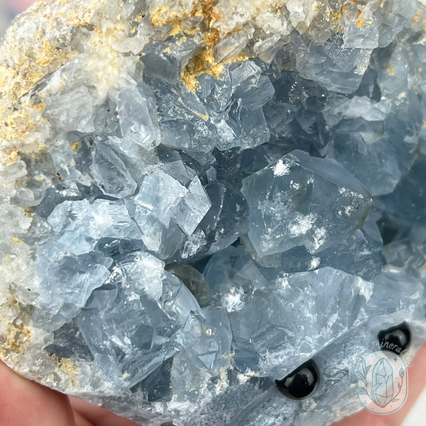 Celestite Crystal Hedgehog Carving Specimen