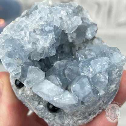 Celestite Crystal Hedgehog Carving Specimen